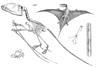 Chapman,_Evolution_of_Life_Figs_148-150