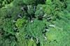 Low-Res_photo credit Shomari Healy - DJI_0003