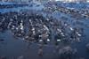 Grand_Forks_flood_of_1997_(GeoDIL_number_-_955)