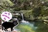 Low-Res_pr202605_hine02