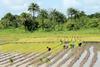 Low-Res_GuineaBissau