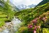 iStock-515856010