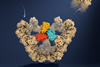 Low-Res_Viral particle assembly