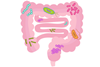 202004_Gut_microbiota