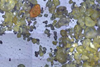 Low-Res_003 copy 1000