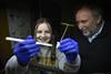Low-Res_Mystery Fungus BP Corinne Hazel