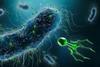 Low-Res_175421949_m