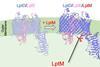 Low-Res_Image_for_press_release (1)