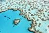 The_heart_reef,_part_of_the_Great_Barrier_Reef_near_Airlie_Beach,_Whitsunday_Islands,_Queensland