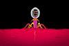 Phage_Infecting
