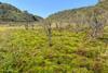 Low-Res_Image_1