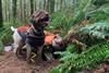 Low-Res_AlanaMcGee and dogs3