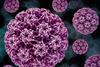 Human_Papillomavirus_(HPV)