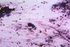 21504_lores