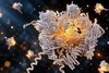 Low-Res_1 - trans-spliceosome