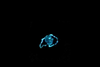 Low-Res_Buffalo_Acid triggered_HighRes
