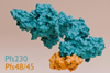 Low-Res_Pfs230_4845_still