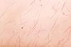 2968_lores