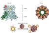 Low-Res_MultivalentProteinNanorings_Eng
