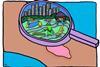 Wound cartoon