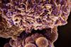 Novel_Coronavirus_SARS-CoV-2_(Omicron)_(52691360959) (1)