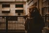 pexels-maycon-marmo-1382692-2935814