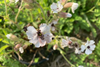 Low-Res_image (7)