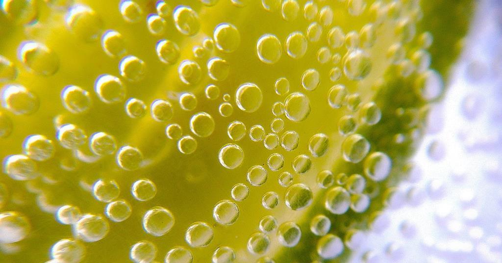 Researchers find contaminated water in fastfood soda fountains