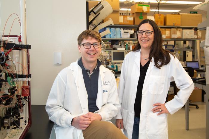 New study reveals a minimalist bacterial defense that disrupts viral ...