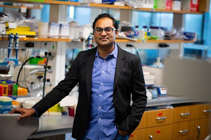 Bioengineered yeast devouring agricultural waste could close carbon ...