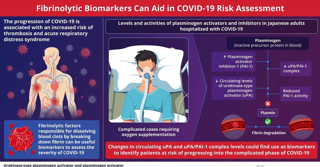 Fibrinolytic biomarkers for identifying patients at risk of severe ...