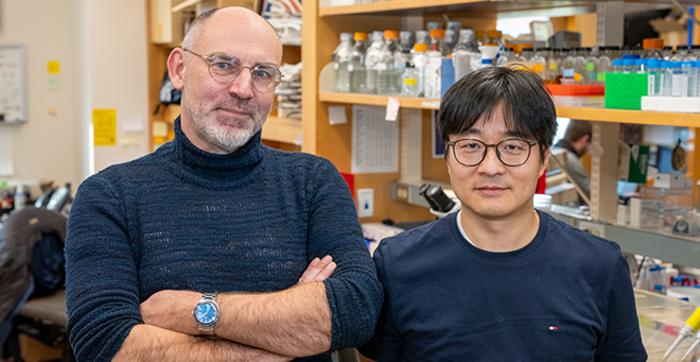 Keding Cheng Molecular link IDed between gut bacteria and excitatory brain signaling ...