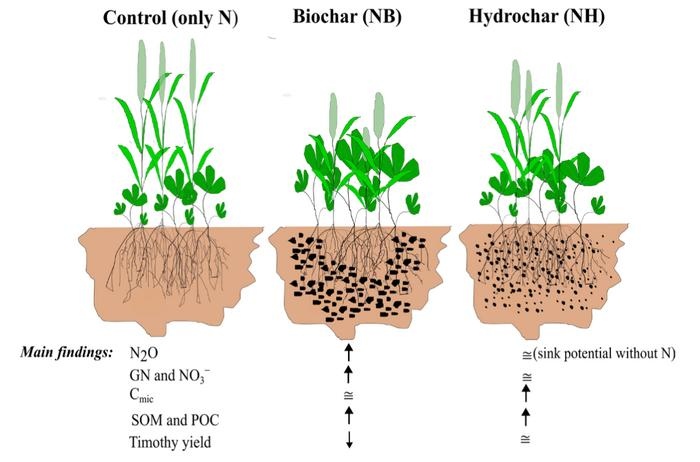 Biochar and hydrochar show contrasting climate effects in boreal ...