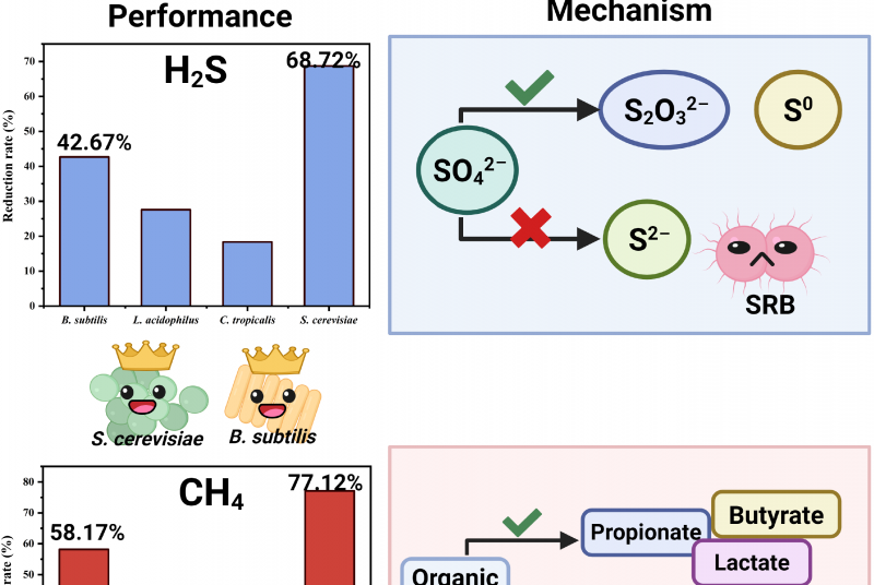 Researchers screen microbial strains to reduce H2S and CH4 emissions ...