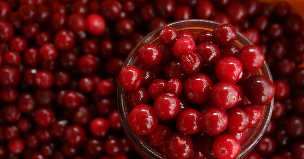 Photo: the-microbiologist.com UIC Researchers Find Pure Cranberry Juice May Slow Dental Plaque