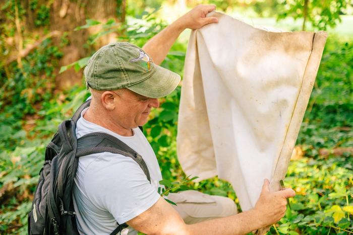 Study finds ticks carrying Lyme disease moving into western NC | News ...