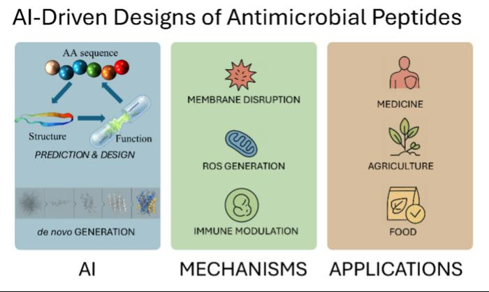 AI accelerates design of next-generation antimicrobial peptides with ...