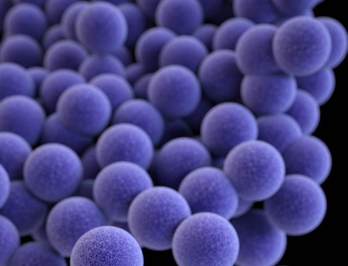 Study reveals how drug resistant bacteria secrete toxins | The ...