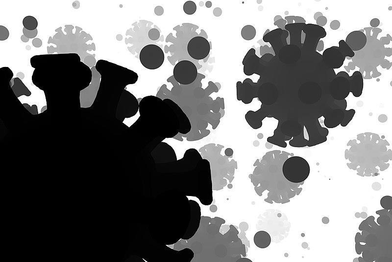Fast and accurate virus detection method uses 3D printed setup | News ...