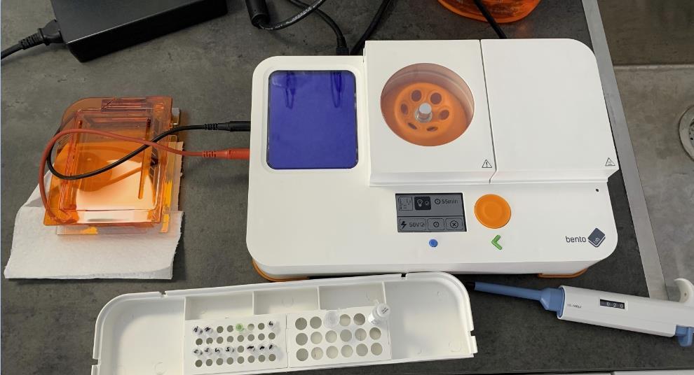 Scientists put Mars DNA sampling protocols to the test with help from ...
