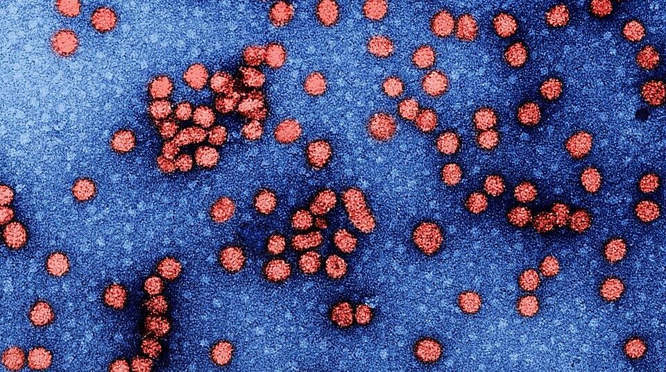 Biomarkers indicating higher liver cancer risk in chronic hepatitis B ...