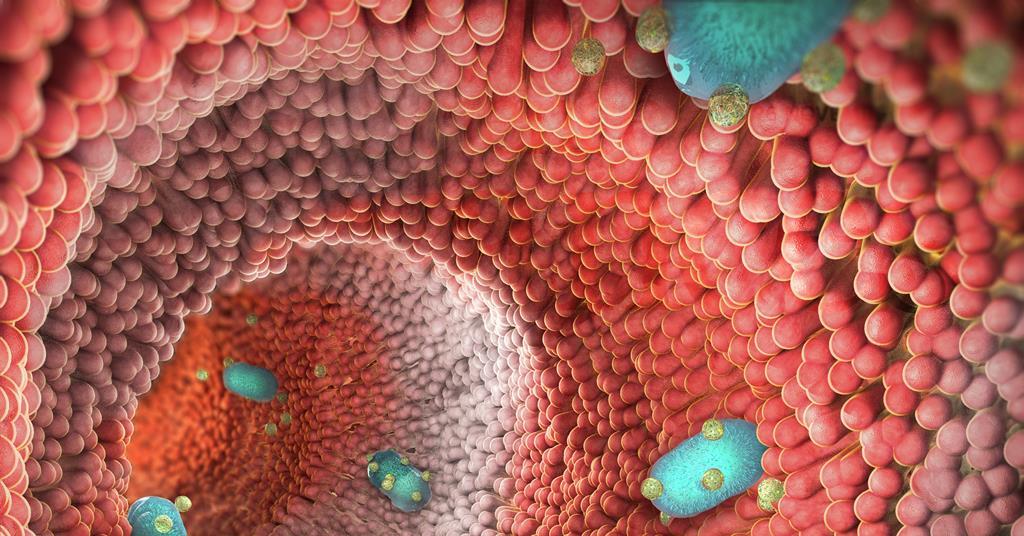 Probiotic ‘backpacks’ could treat inflammatory bowel diseases | The ...