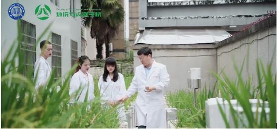Scientists probe ‘superpower’ that allows soil bacteria to protect rice ...