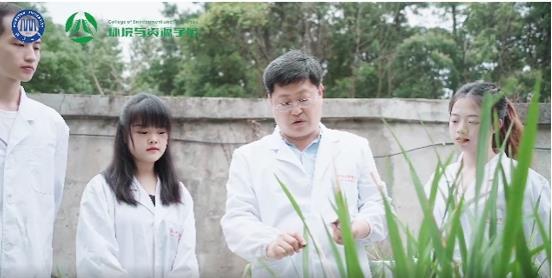 Scientists probe ‘superpower’ that allows soil bacteria to protect rice ...