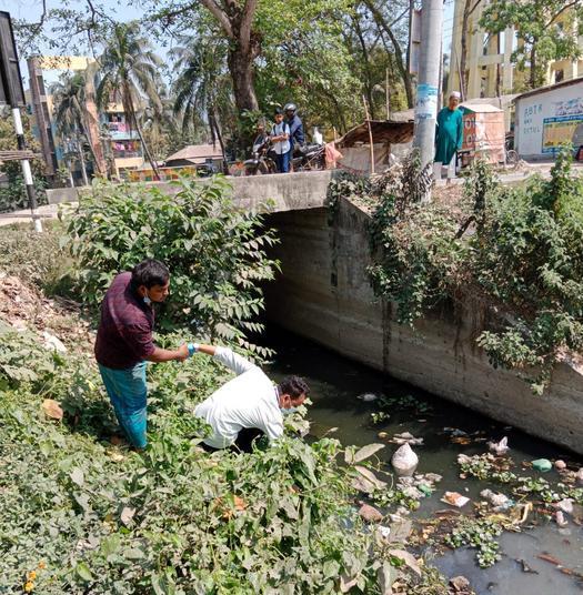 Environmental monitoring offers low-cost phage tool for typhoid fever ...