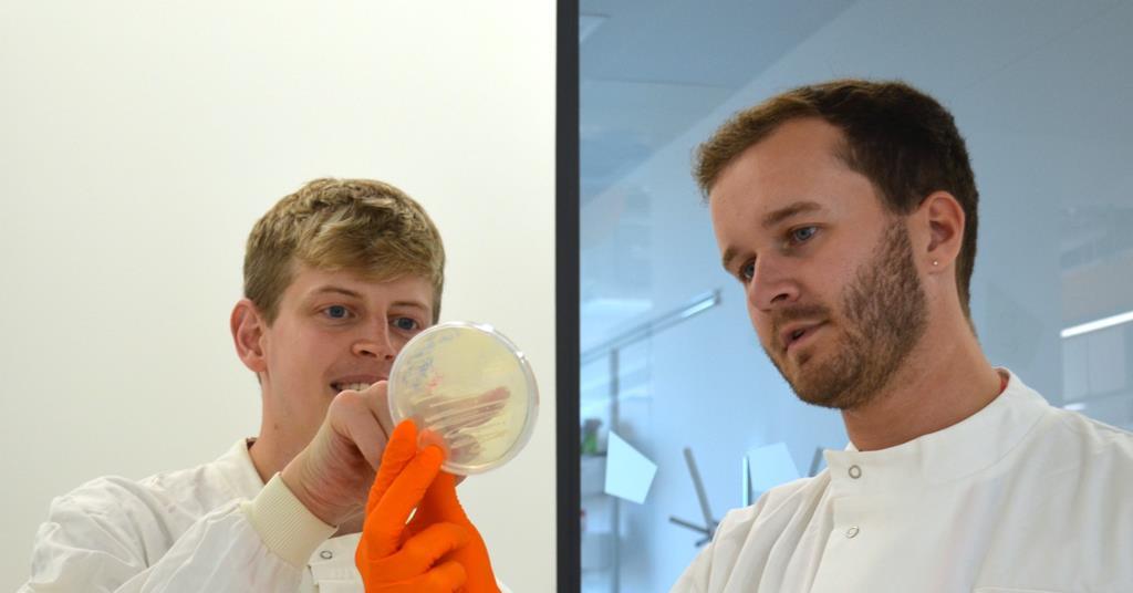 Making connections: the story behind the Centre for Microbial ...