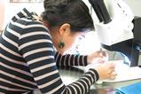 microscope_EvelynZuñiga