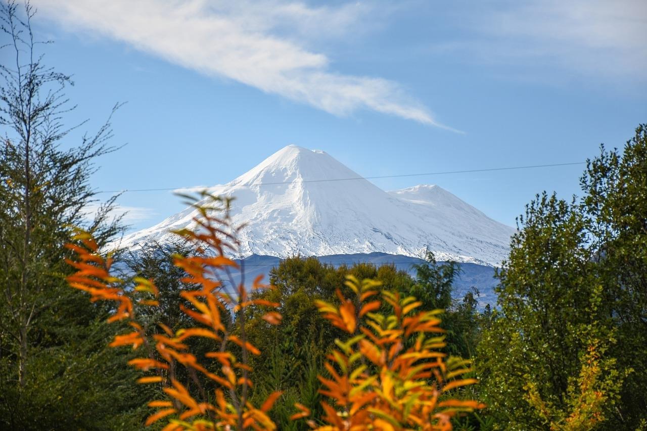My scientific journey from Chile to the UK Careers The Microbiologist