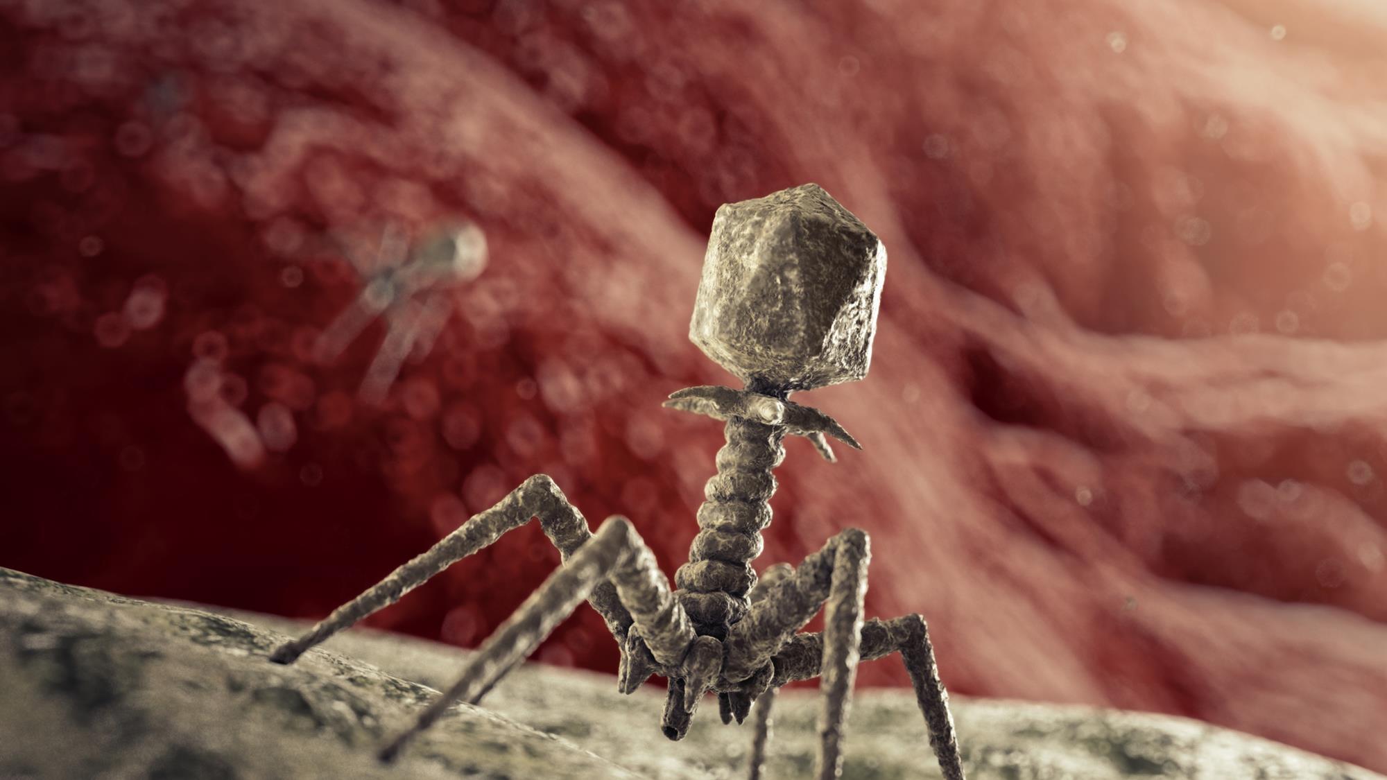How phage therapy supports One Health in the AMR fight | Features | The ...