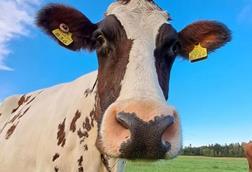 Low-Res_Viikin_tutkimustila_Asukas_LoveMarie